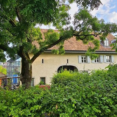Blue Wall Bnb Gebenstorf Exterior foto
