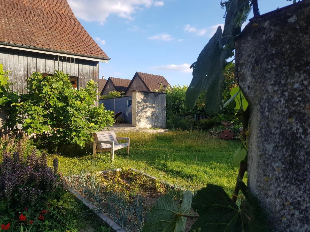 Blue Wall Bnb Gebenstorf Exterior foto