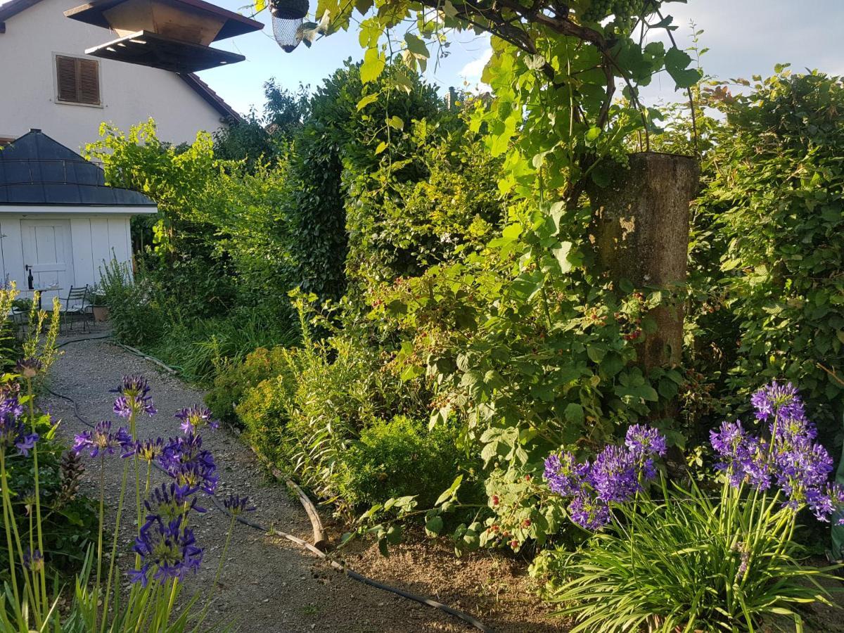 Blue Wall Bnb Gebenstorf Exterior foto