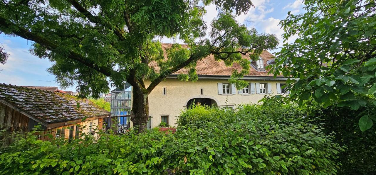 Blue Wall Bnb Gebenstorf Exterior foto